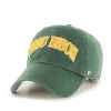 47 Brand North Dakota State Bison Text Cleanup Hat Forest