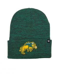 47 Brand North Dakota State Bison Brain Freeze Beanie Green